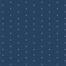 Load image into Gallery viewer, Bloomin' Americana Bundle