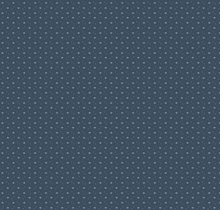 Load image into Gallery viewer, Gallop and Gather Quilt Kit
