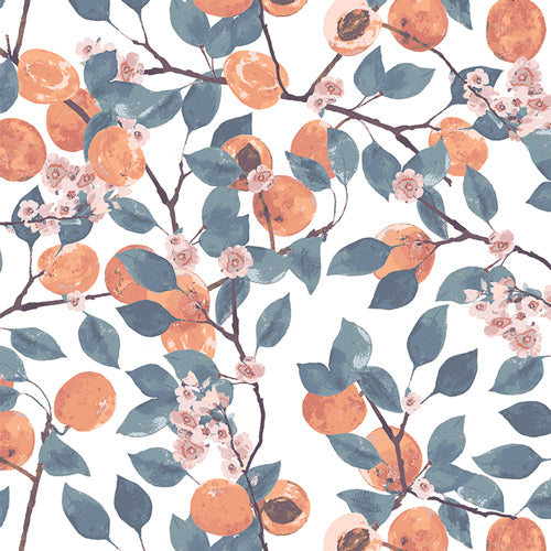 Blossoming Apricots