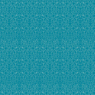 Coral Coastline