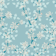 Coastal Jasmine