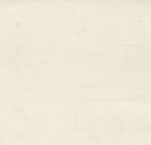 Unbleached Permanent Press Muslin, 45in