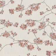 Blossoming Daphne